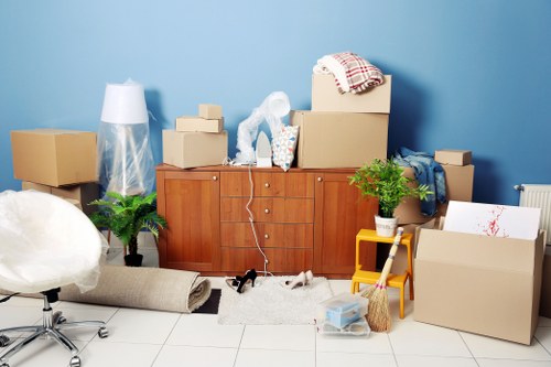 Visual for accessibility support requests on a removal company website